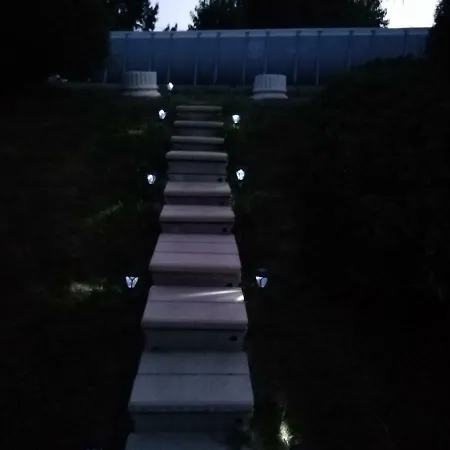 The *